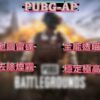 pubg-AP PUBG-AP 頂級全能透瞄 | 內建過機碼