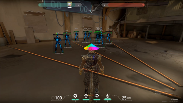 VALO-VGC 私人極致暴力 | 解鎖皮膚 解鎖吊飾 第三人稱